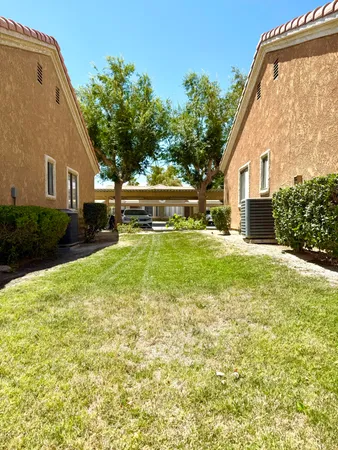 a small garden covered with tall trees