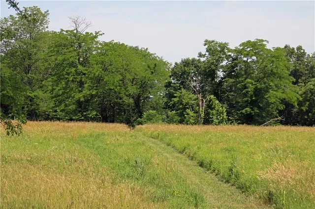 $240,000 | Tbd Lot D East Tbd Street, Freeman, MO 64746