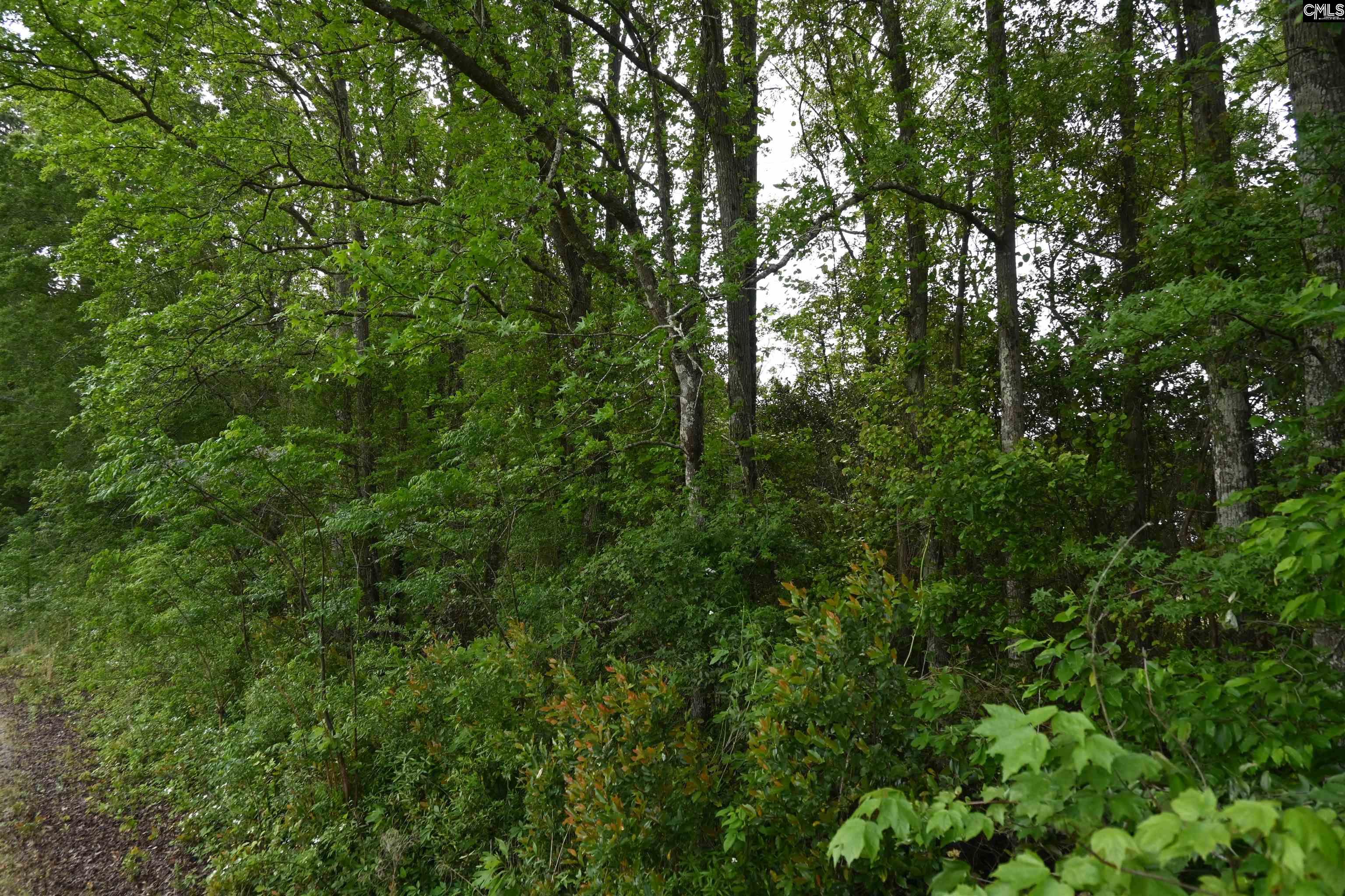 Tbd Gallowaytown Road Hartsville, SC 29550 - Photo 22 of 34