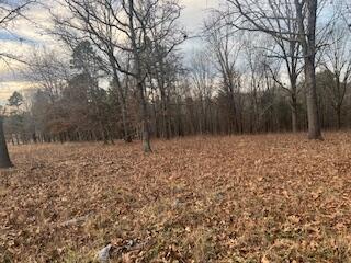 15620 County Rd WW-A Mountain View, MO 65548 - Photo 55 of 60 IMG_3490