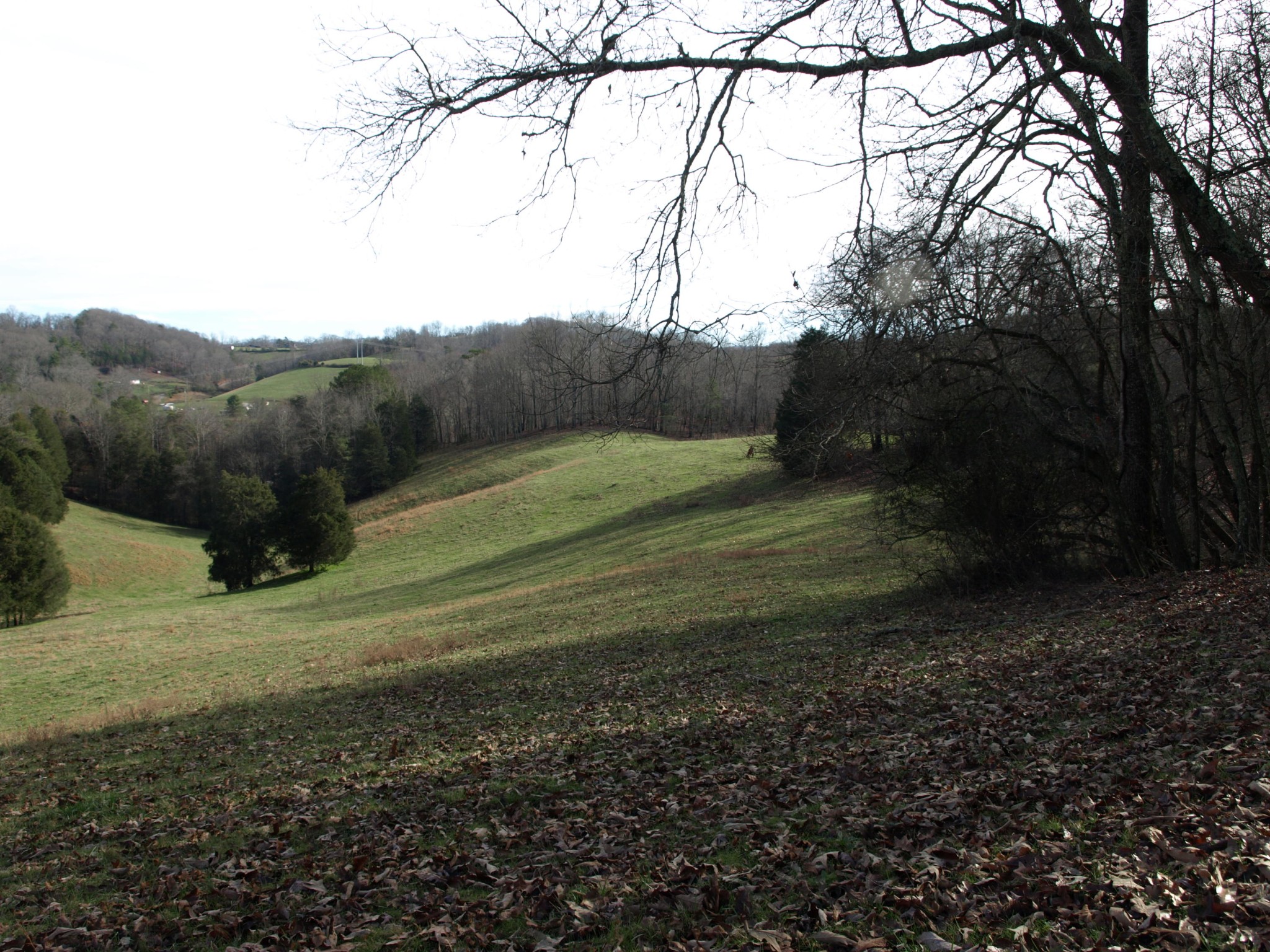 0 Big Creek Road La Follette, TN 37766 - Photo 3 of 30 Gallery Image 3