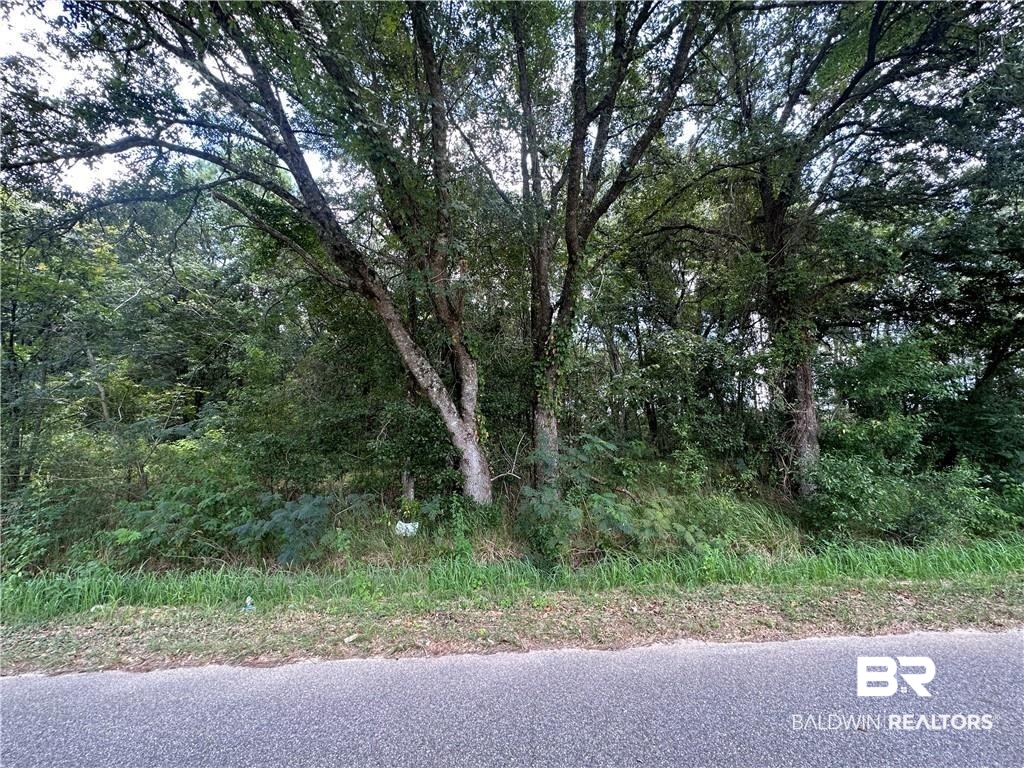 5873 Lundy Road Theodore, AL 36582 - Photo 2 of 4