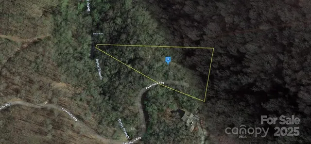 a view of a dry yard