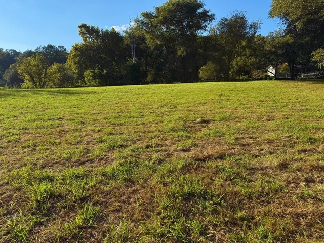 a view of an outdoor space and a yard