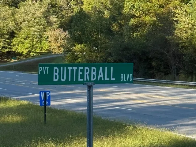 a view of swimming pool with a yard