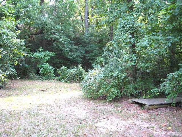 2305 Springhill Avenue Raleigh, NC 27603 - Photo 10 of 10 a view of a yard with plants and large trees