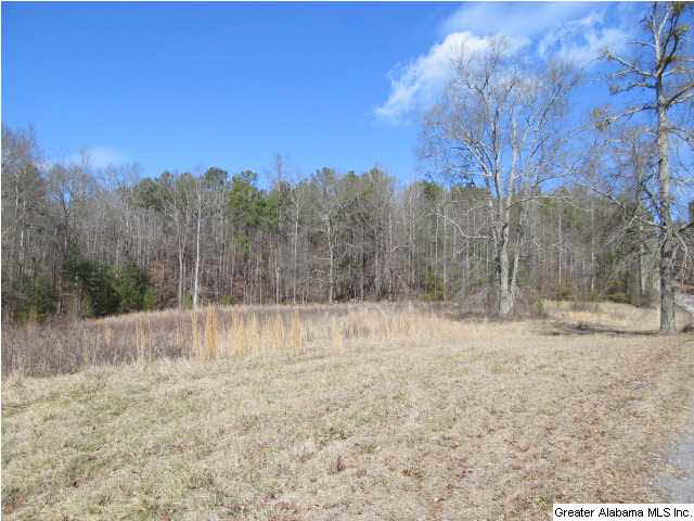 0 Signal Valley Trail Chelsea, AL 35043 - Photo 4 of 9