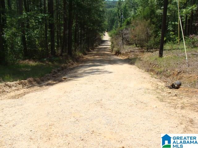 0 Stipes Road, Unit ACREAGE West Blocton, AL 35184 - Photo 6 of 6