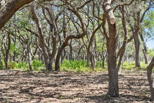 $1,150,000 | 12 Lewdele Lane, Blanco, TX 78606