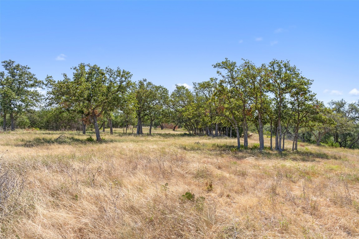 12 Lewdele Lane Blanco, TX 78606 - Photo 10 of 14 a view of yard with trees