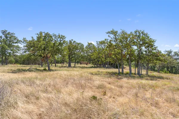 $1,150,000 | 12 Lewdele Lane, Blanco, TX 78606