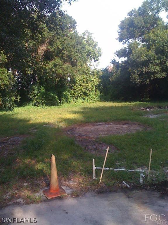 2160 Cook Lane Alva, FL 33920 - Photo 4 of 10 Gallery Image 4