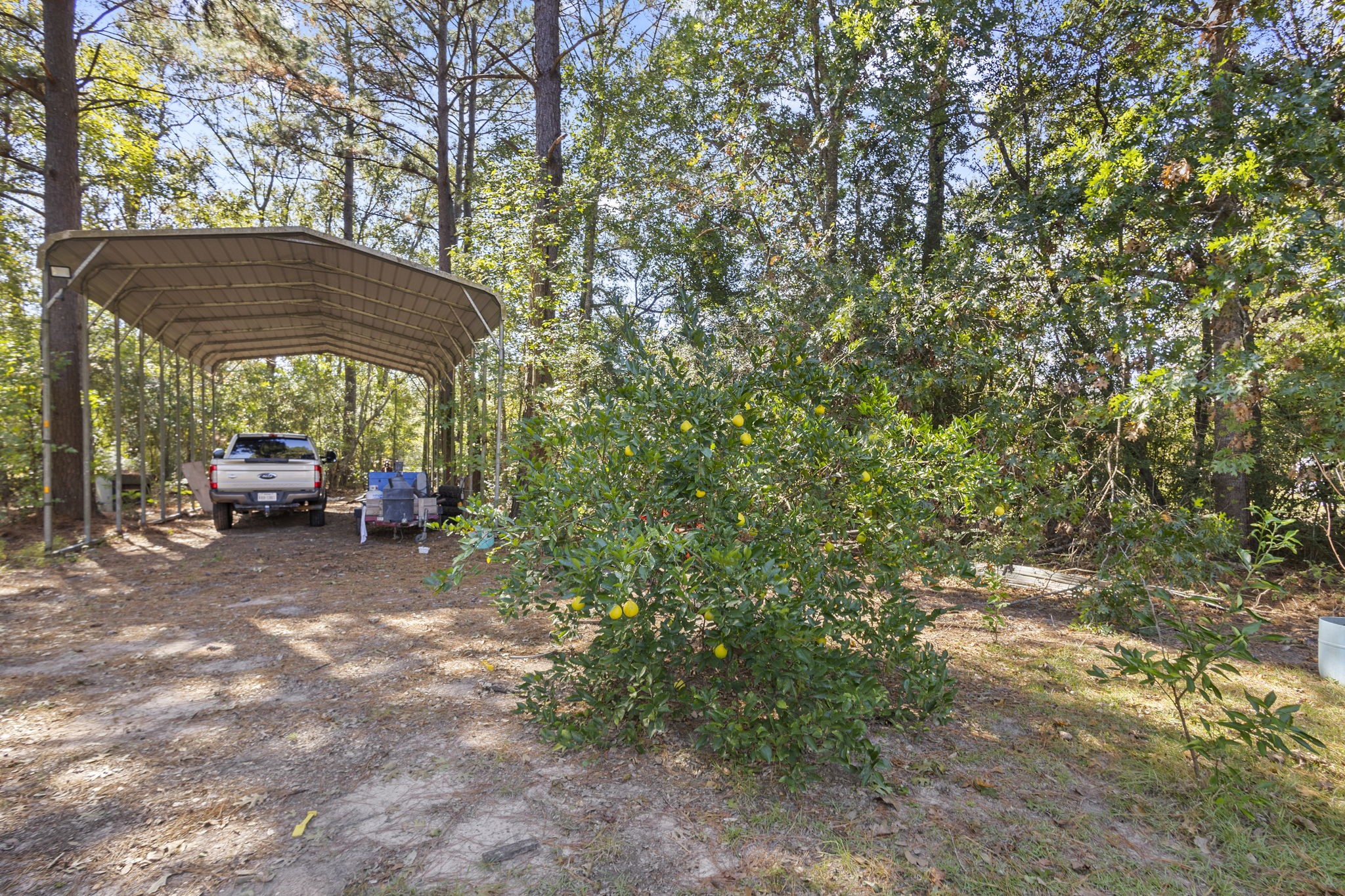10077 Cravens Camp Road Silsbee, TX 77656 - Photo 31 of 50