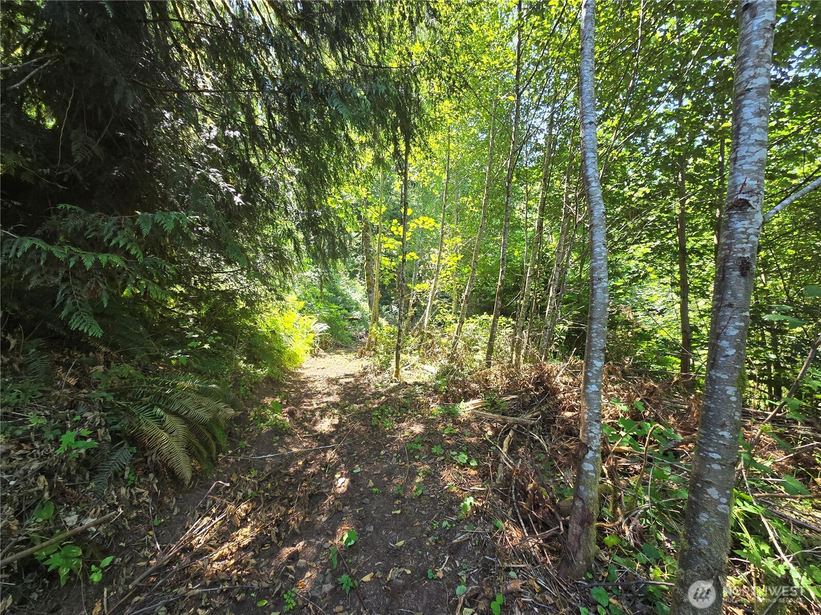 0 Highland Valley Road Morton, WA 98356 - Photo 6 of 9 Gallery Image 6