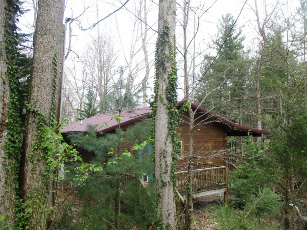 210 Short Coal Chute Road Elizabethton, TN 37643 - Photo 1 of 9 Photo 1