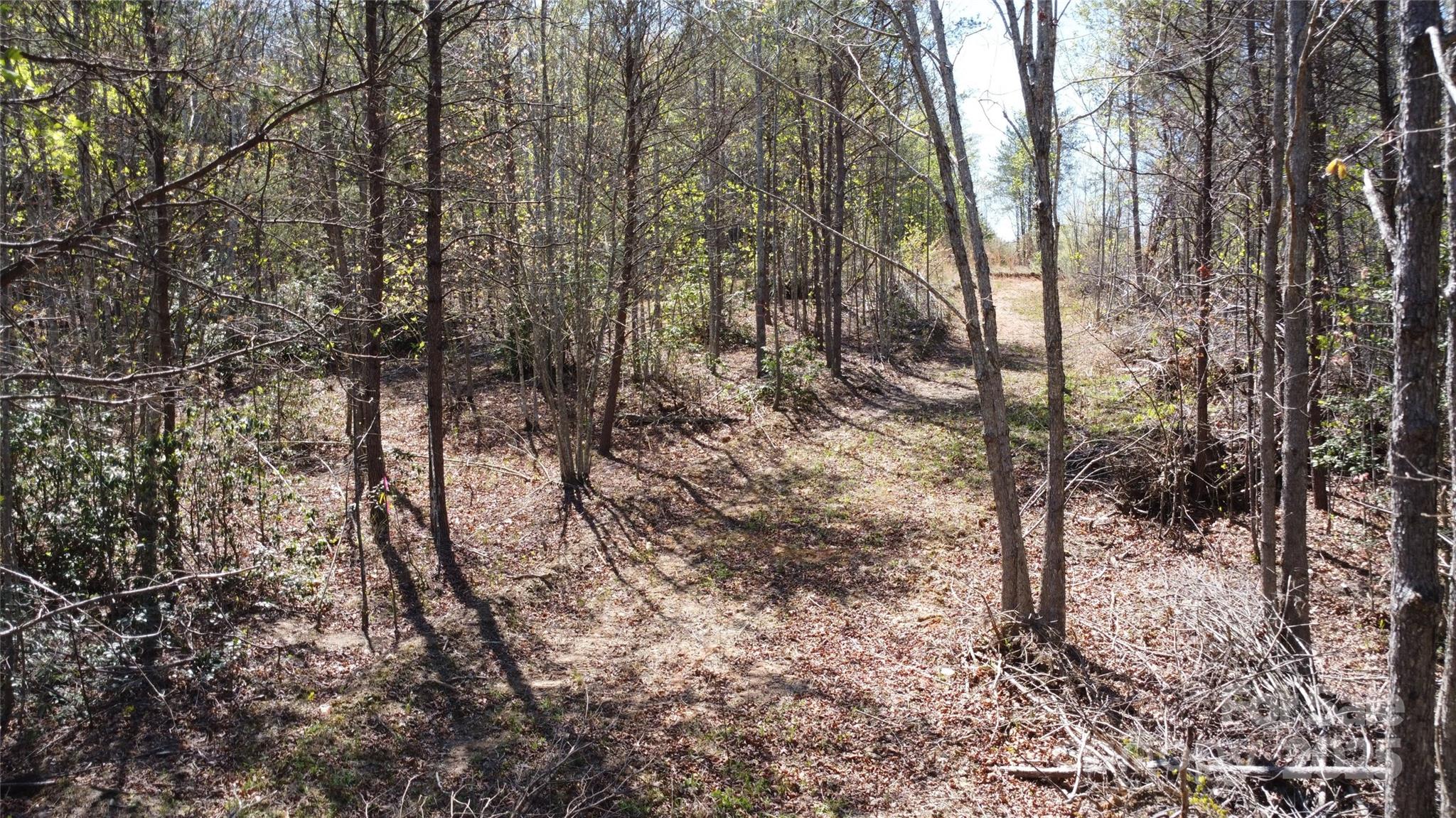 0 Snowhill Church Road Morganton, NC 28655 - Photo 12 of 40