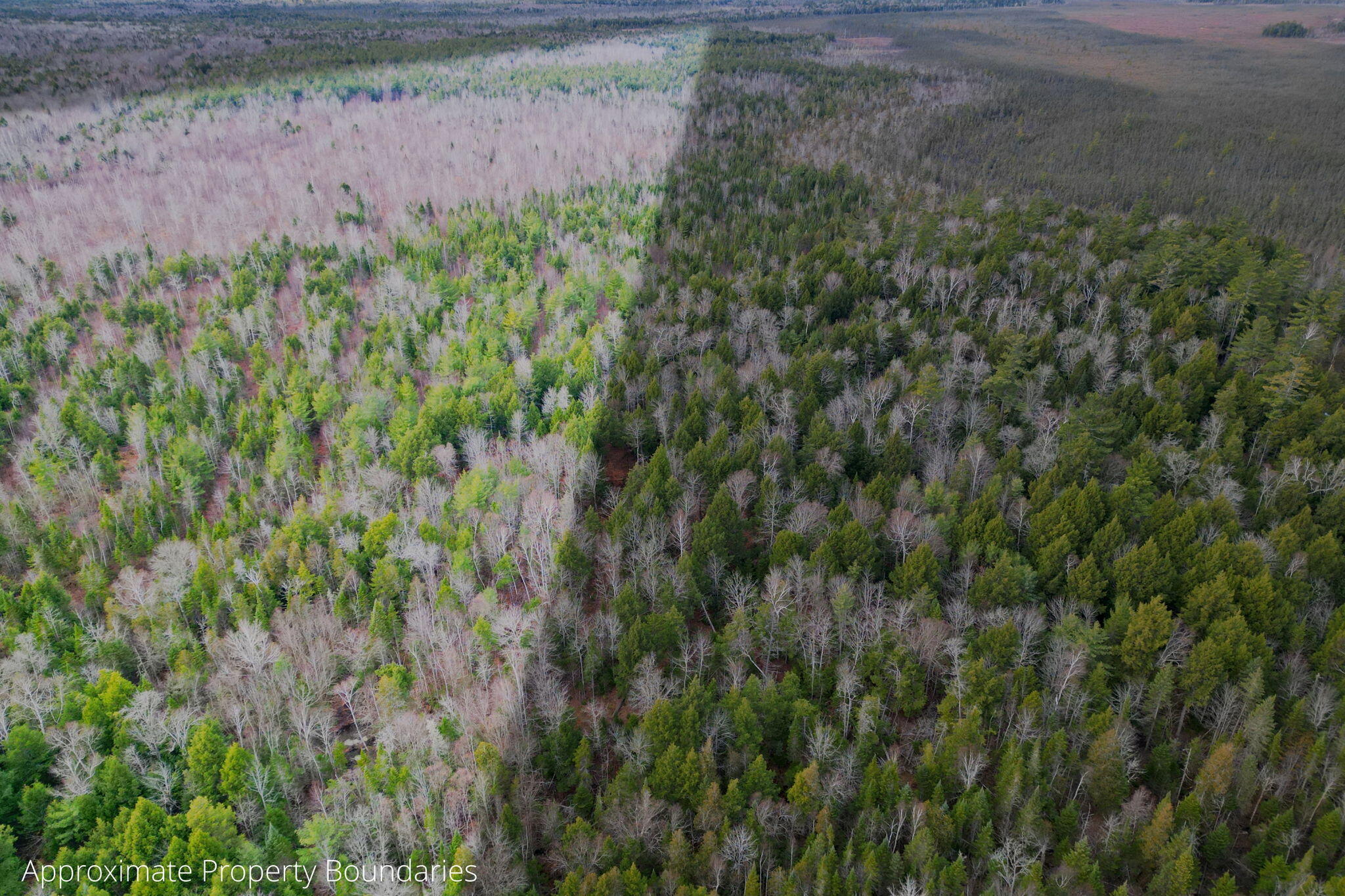 3 Map Road Old Town, ME 04468 - Photo 26 of 26