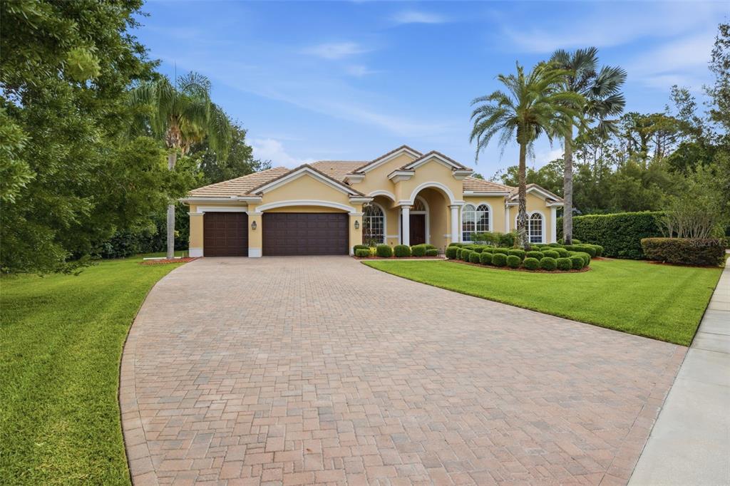 9409 Tree Tops Lake Road Tampa, FL 33626 - Photo 3 of 97