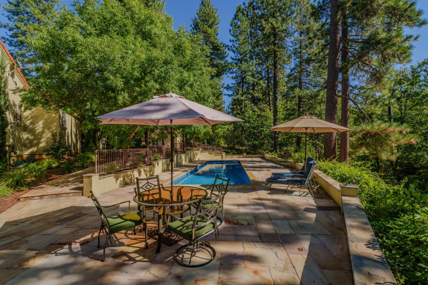 4581 Highway 4 Murphys, CA 95247 - Photo 53 of 65 a view of backyard with outdoor seating and trees