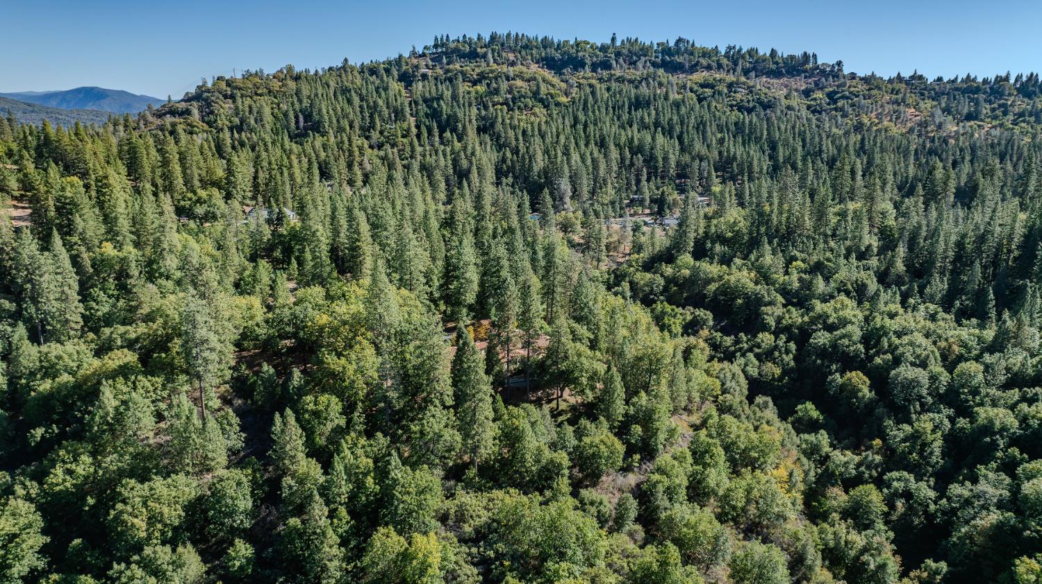 4581 Highway 4 Murphys, CA 95247 - Photo 56 of 58