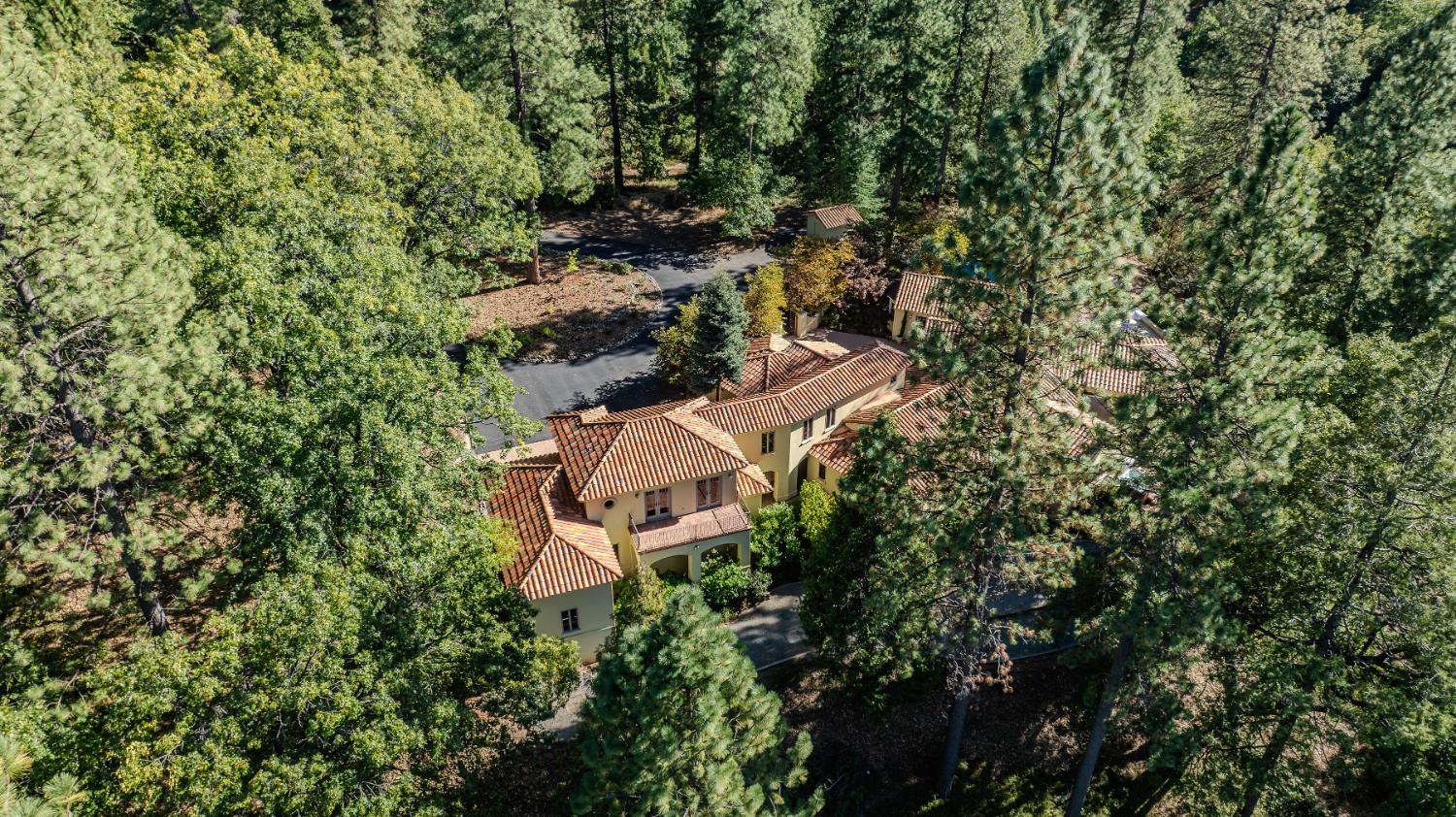 4581 Highway 4 Murphys, CA 95247 - Photo 64 of 65 an aerial view of a house with yard and outdoor space