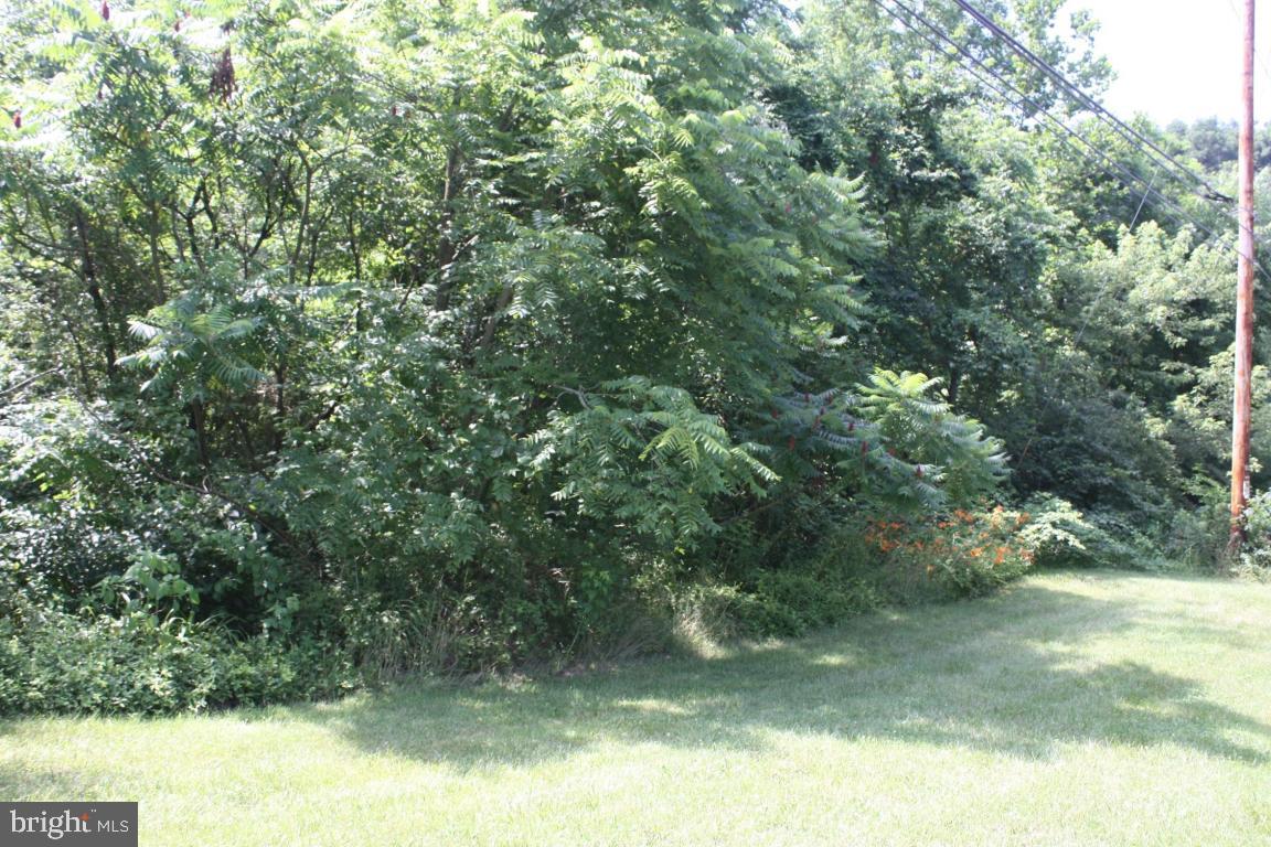 0 Mt Airy Road Stevens, PA 17578 - Photo 1 of 5