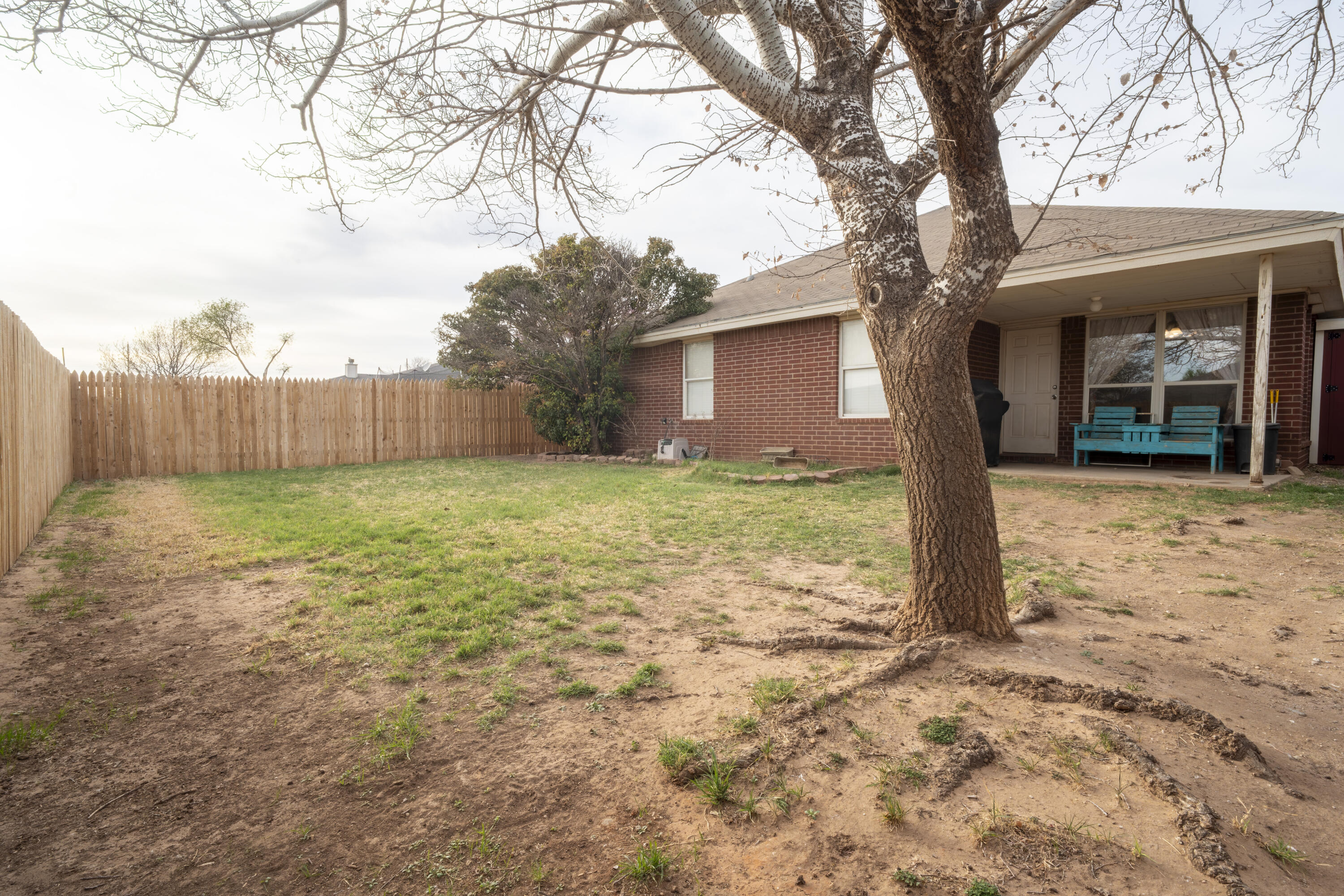 6319 13th Street Lubbock, TX 79416 - Photo 20 of 21 a view of a yard in front of a house with large tree