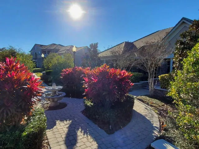 a view of swimming pool with lawn chairs and large trees