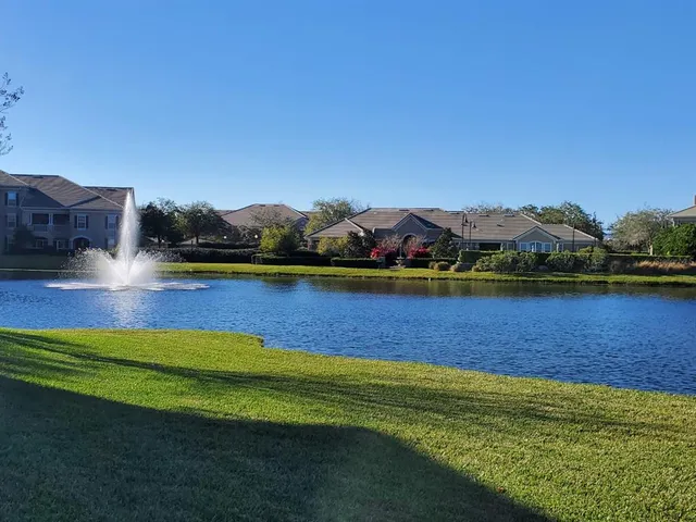 a view of yard with large trees