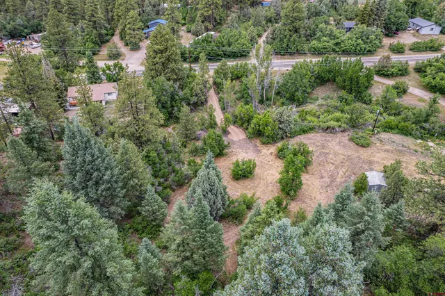 a view of a garden with plants