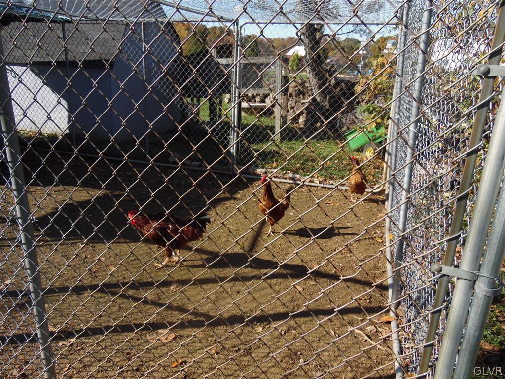 8757 South Loop Road Slatington, PA 18080 - Photo 49 of 50 Chickens!!
