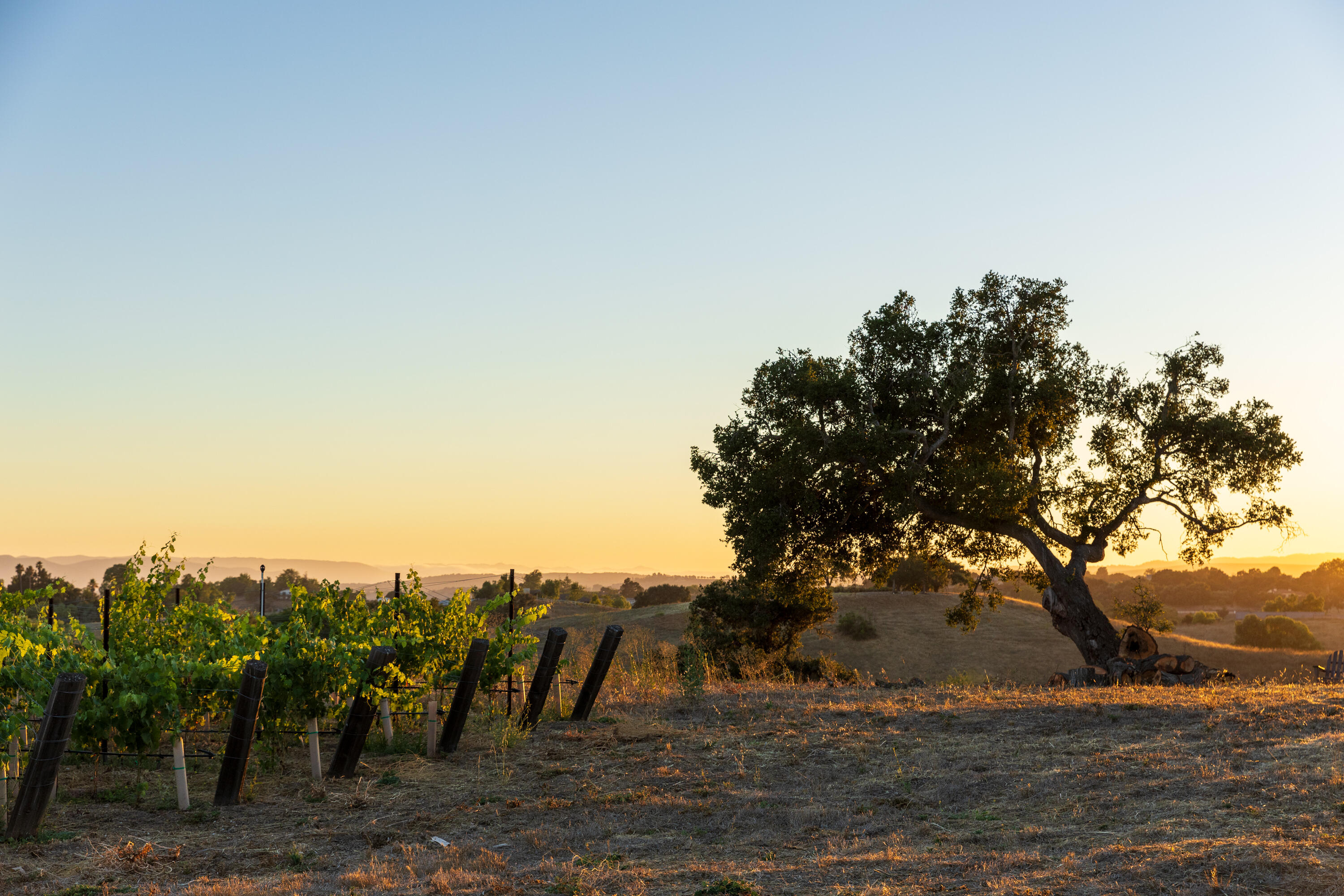 3001 Long Valley Road Santa Ynez, CA 93460 - Photo 45 of 52 a view of outdoor space with mountain view