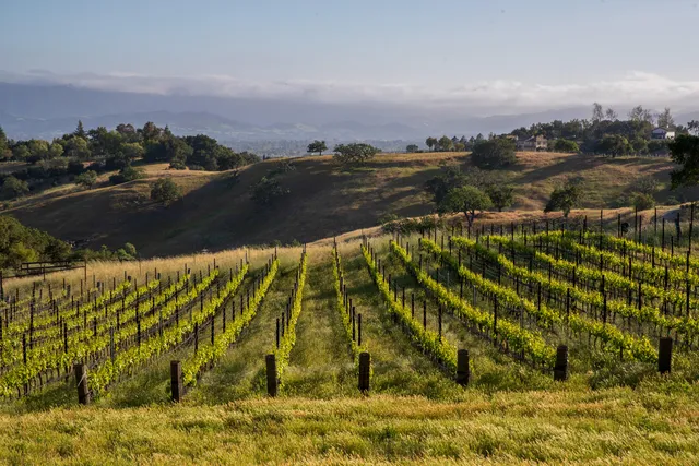 $7,500,000 | 3001 Long Valley Road, Santa Ynez, CA 93460