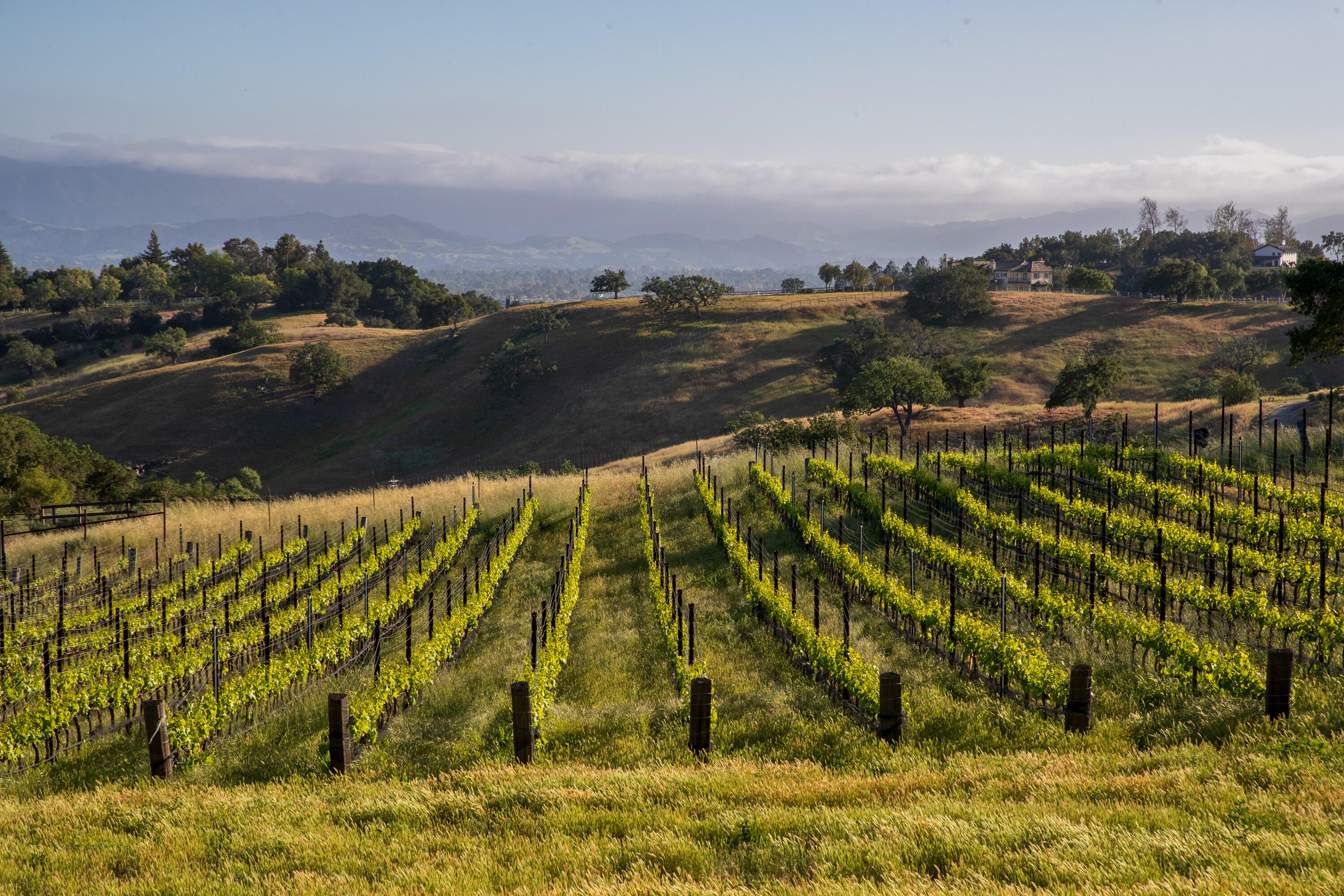 3001 Long Valley Road Santa Ynez, CA 93460 - Photo 47 of 52 a view of lake
