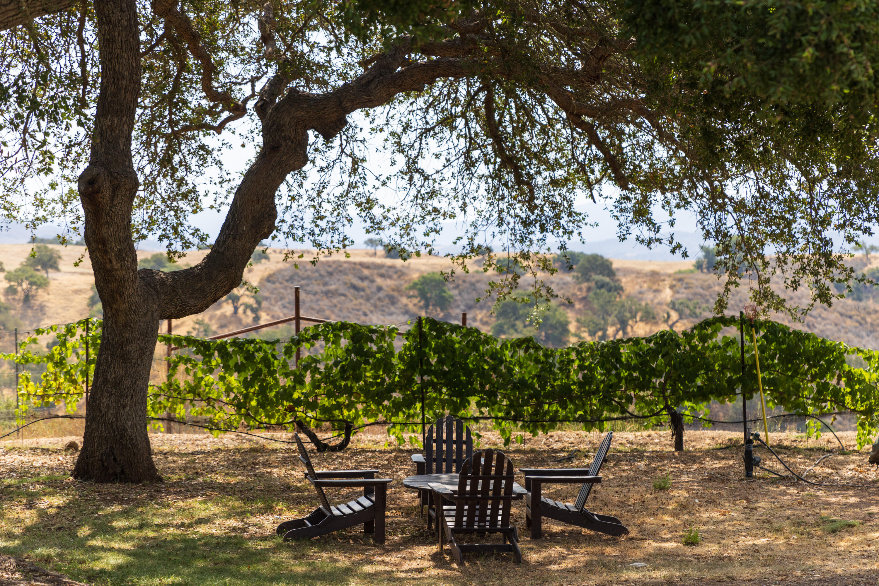 3001 Long Valley Road Santa Ynez, CA 93460 - Photo 6 of 52 a view of a lake with a outdoor space