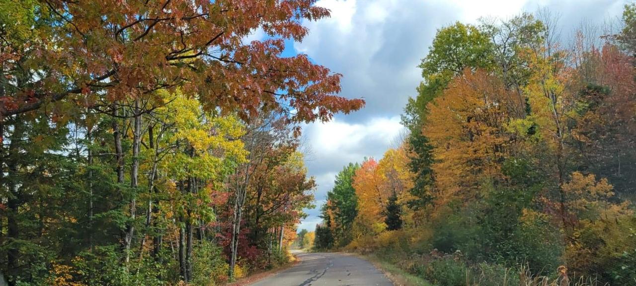 4271 Shepard Lake Road Rhinelander, WI 54501 - Photo 13 of 53 Gallery Image 13