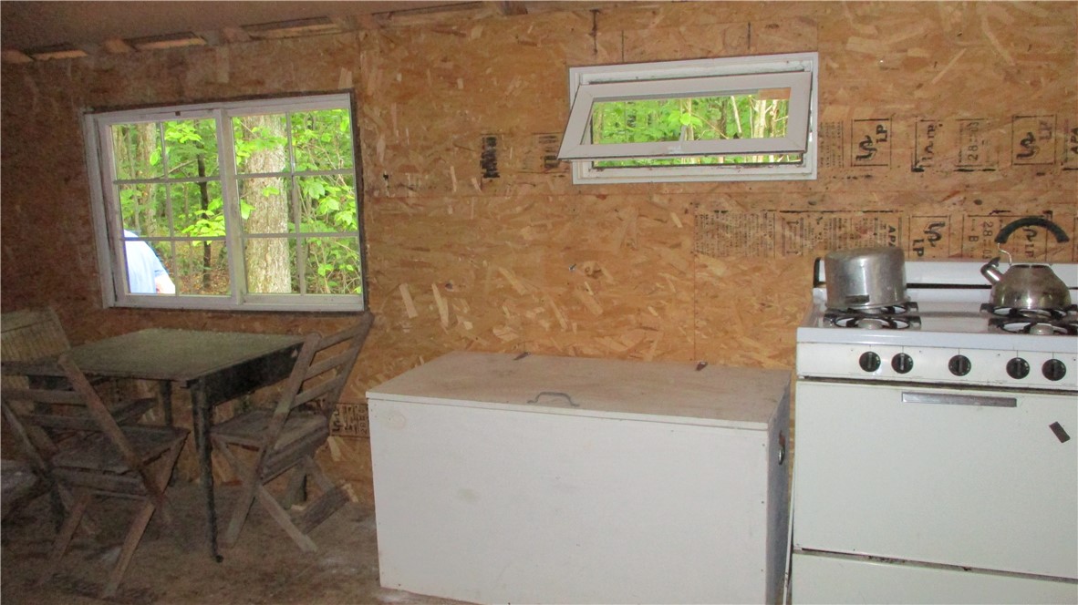 0 Campbell Hill Road Cooperstown, NY 13326 - Photo 4 of 10 Kitchen area and storage
