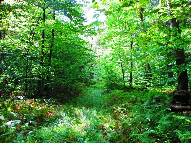 $399,000 | 0 Campbell Hill Road, Cooperstown, NY 13326