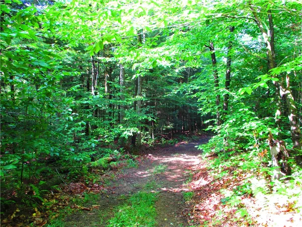 $399,000 | 0 Campbell Hill Road, Cooperstown, NY 13326