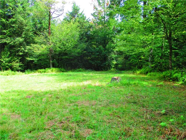 $399,000 | 0 Campbell Hill Road, Cooperstown, NY 13326