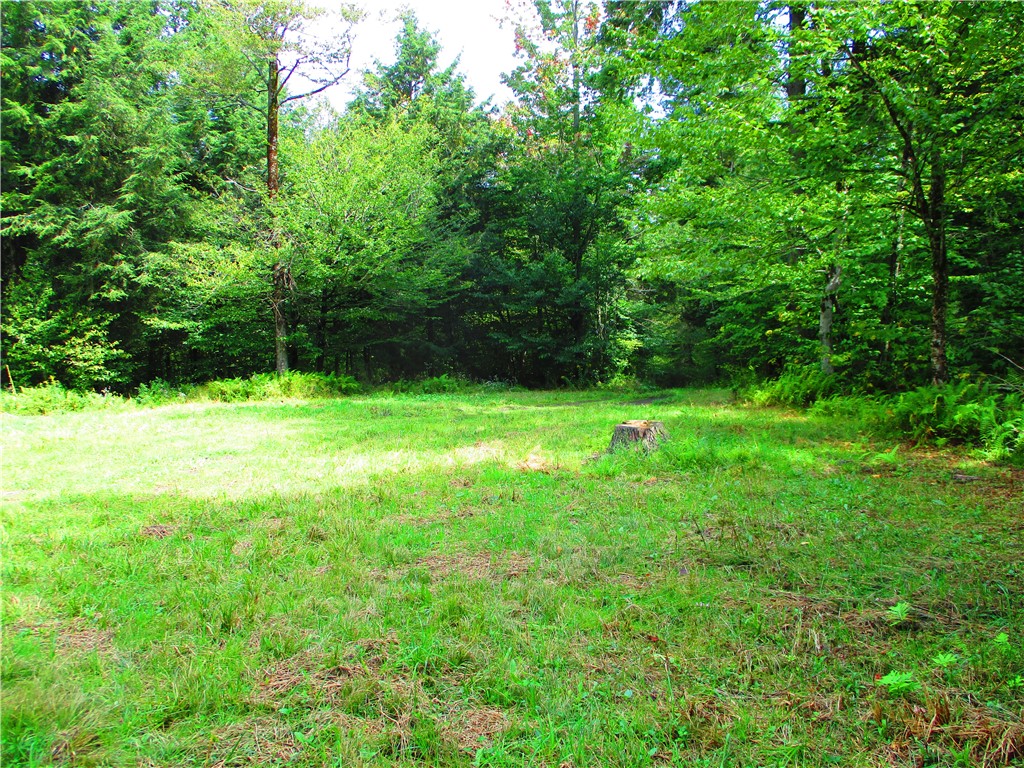 0 Campbell Hill Road Cooperstown, NY 13326 - Photo 8 of 10 Beginning of property - nice clearing for a buildi
