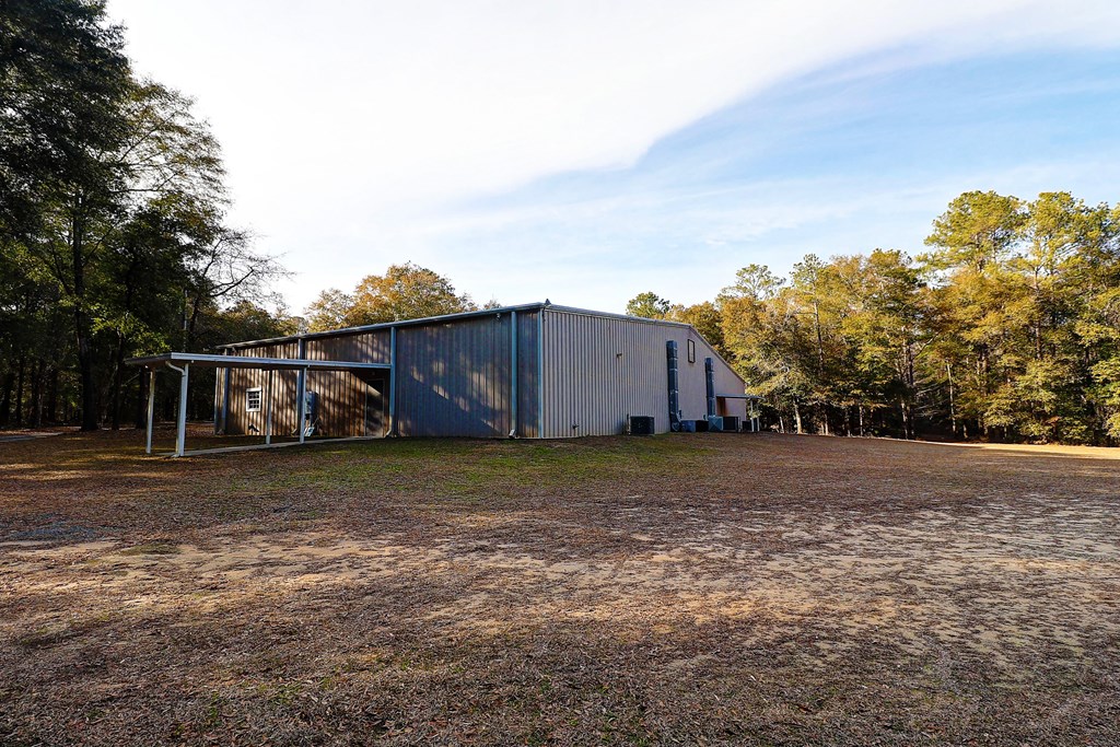 319 County Road Midland City, AL 36350 - Photo 24 of 31