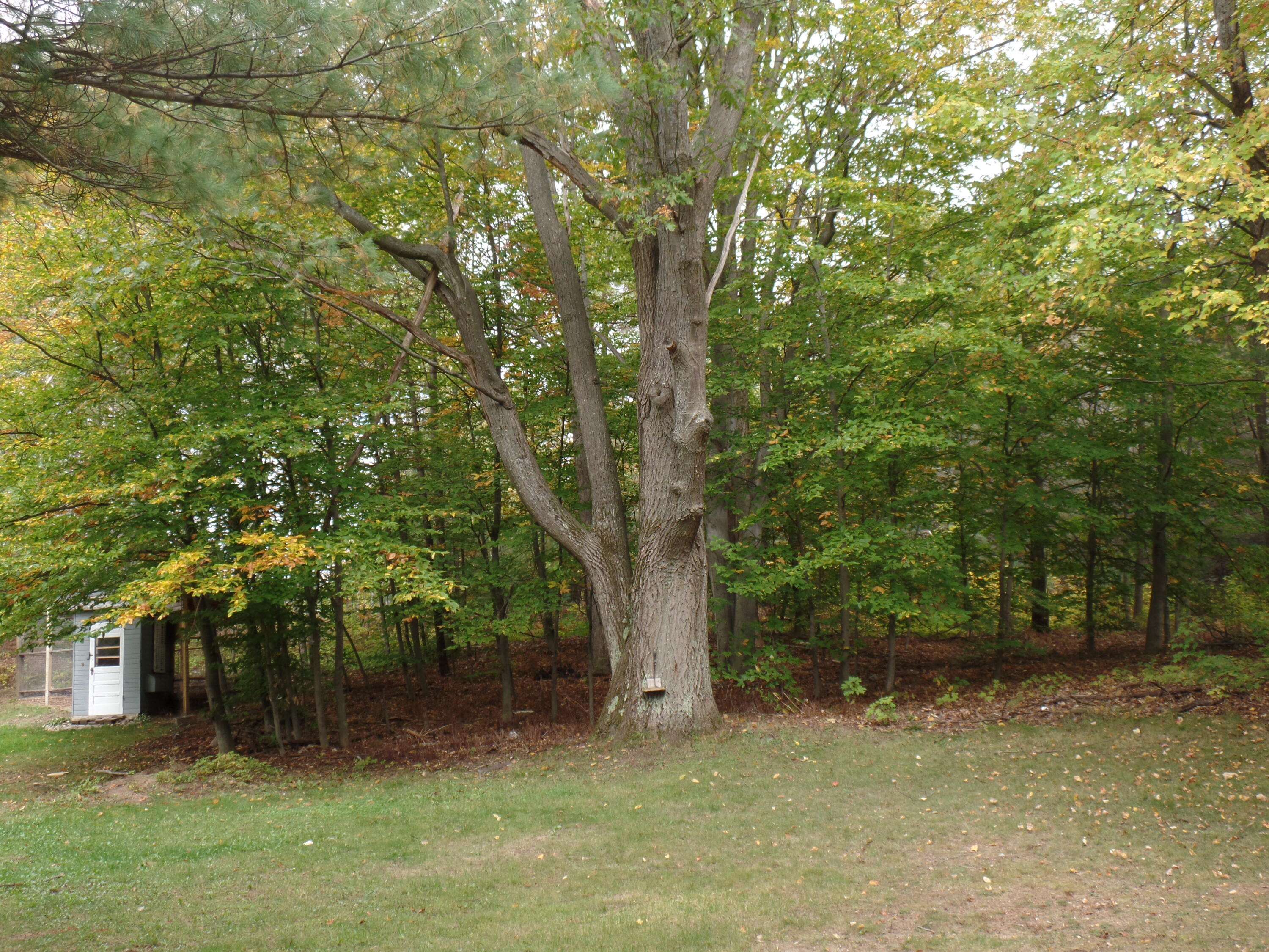 1846 North Abbe Road Fairview, MI 48621 - Photo 10 of 34 Gallery Image 10