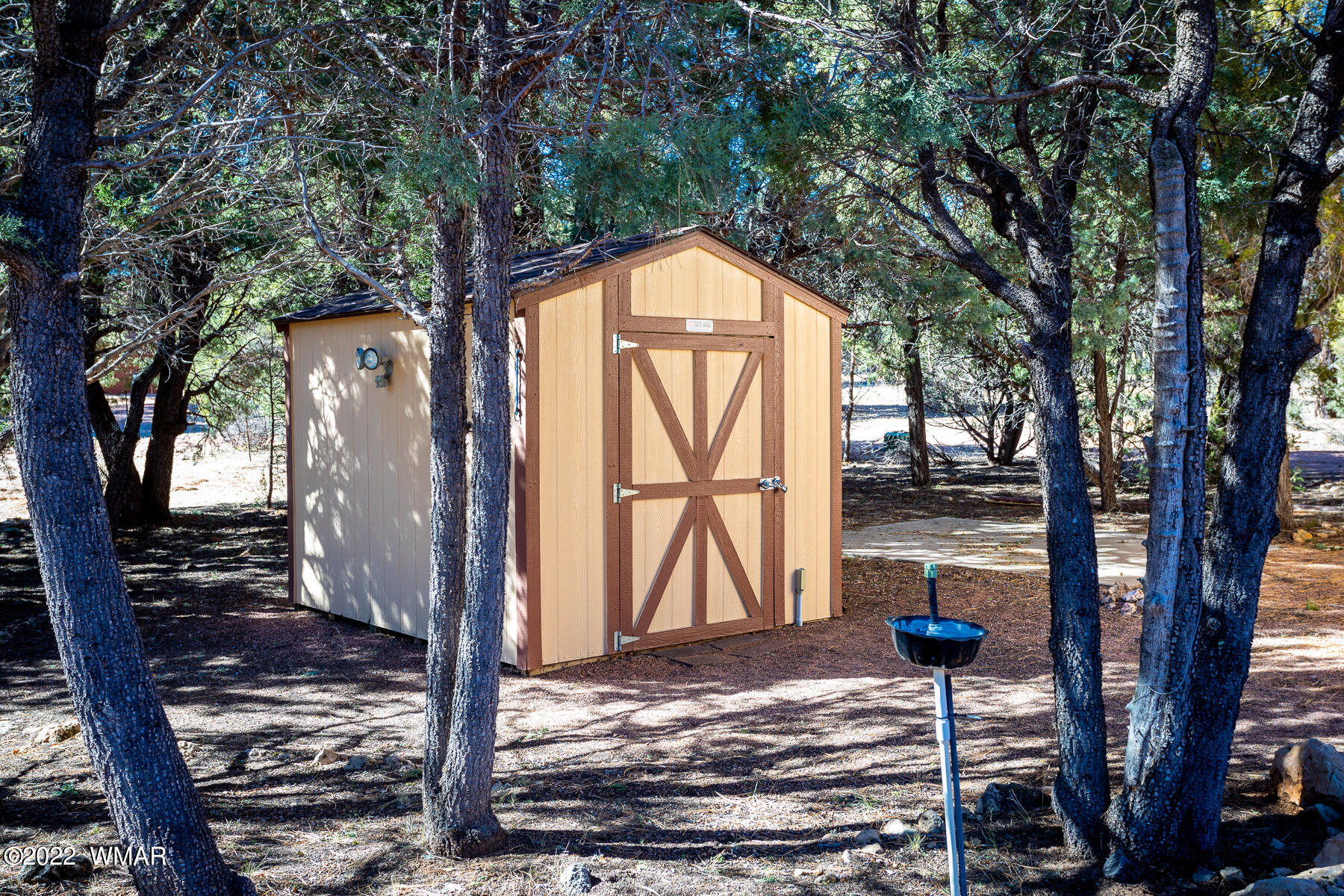 2840 Lodgepole Road Overgaard, AZ 85933 - Photo 4 of 30 a house with trees in front of it