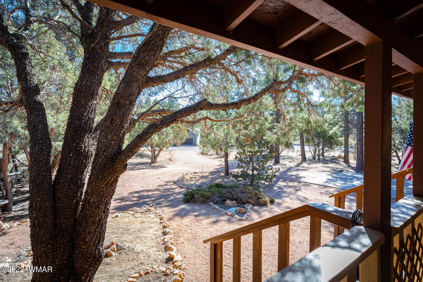 2840 Lodgepole Road Overgaard, AZ 85933 - Photo 9 of 30 a view of a yard with a tree