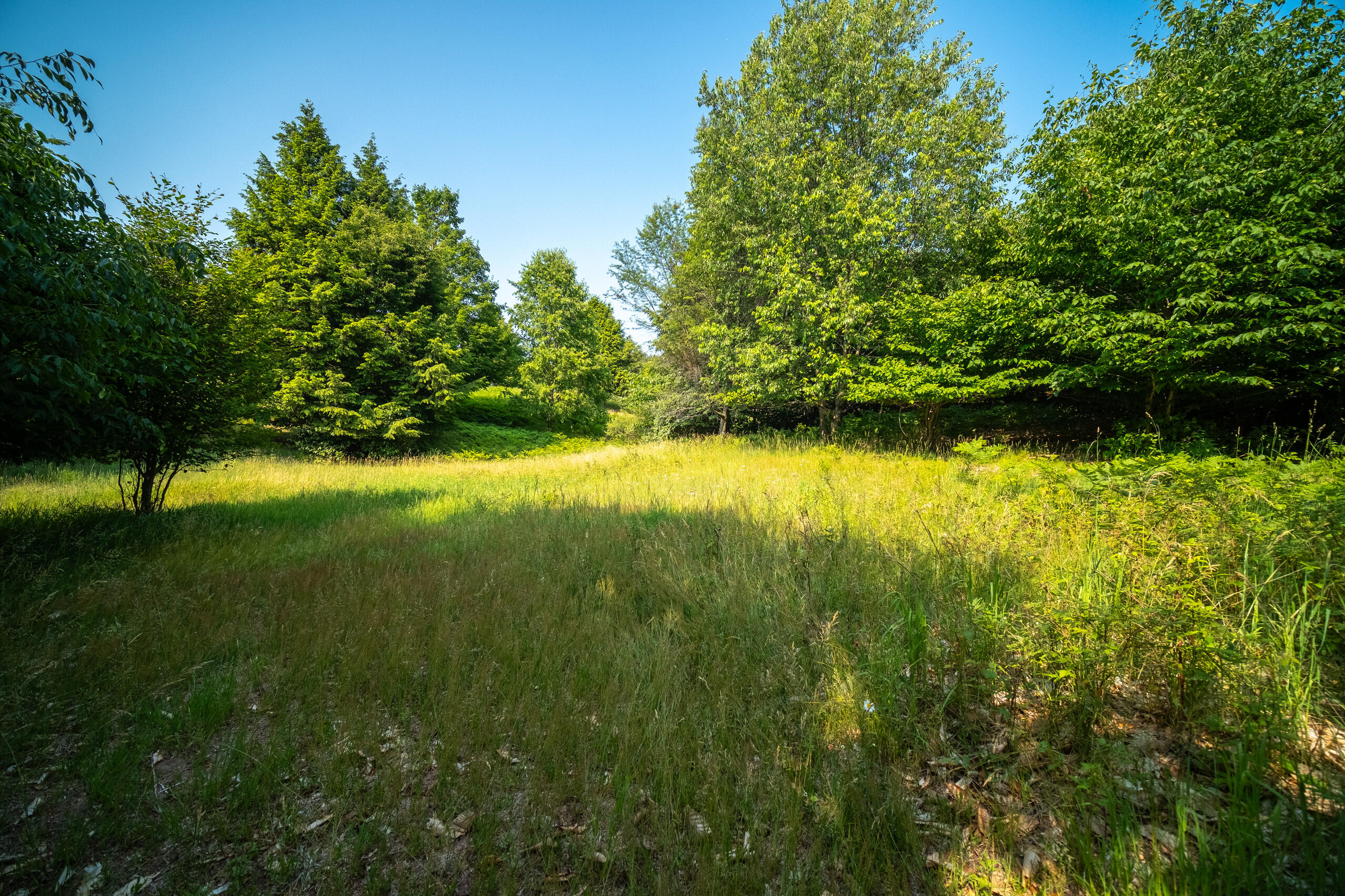 Horizon Ridge Lane, Unit 138 Onekama, MI 49675 - Photo 1 of 41 Beautiful site for a walk-out design!