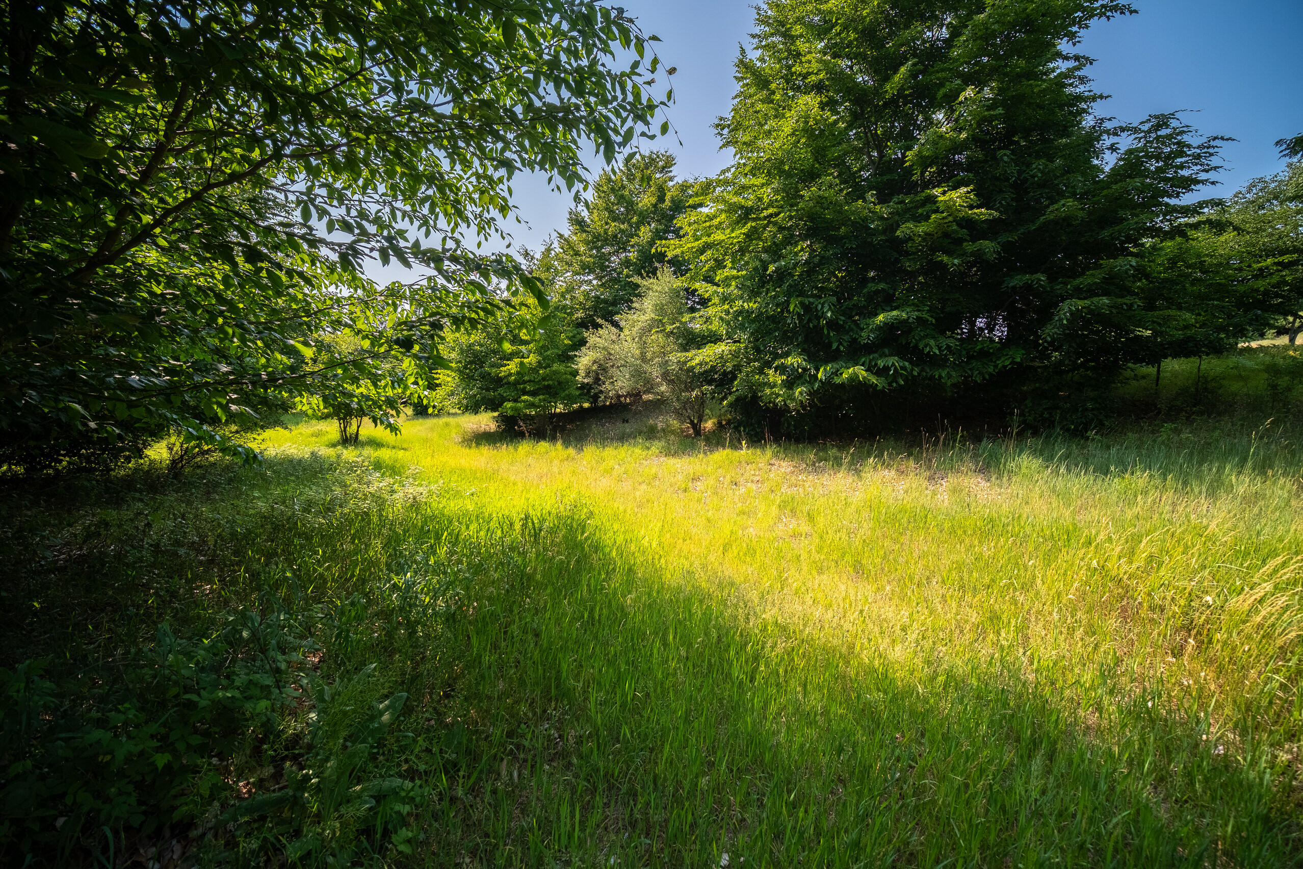 Horizon Ridge Lane, Unit 138 Onekama, MI 49675 - Photo 12 of 41 Additional Photo Lot 138
