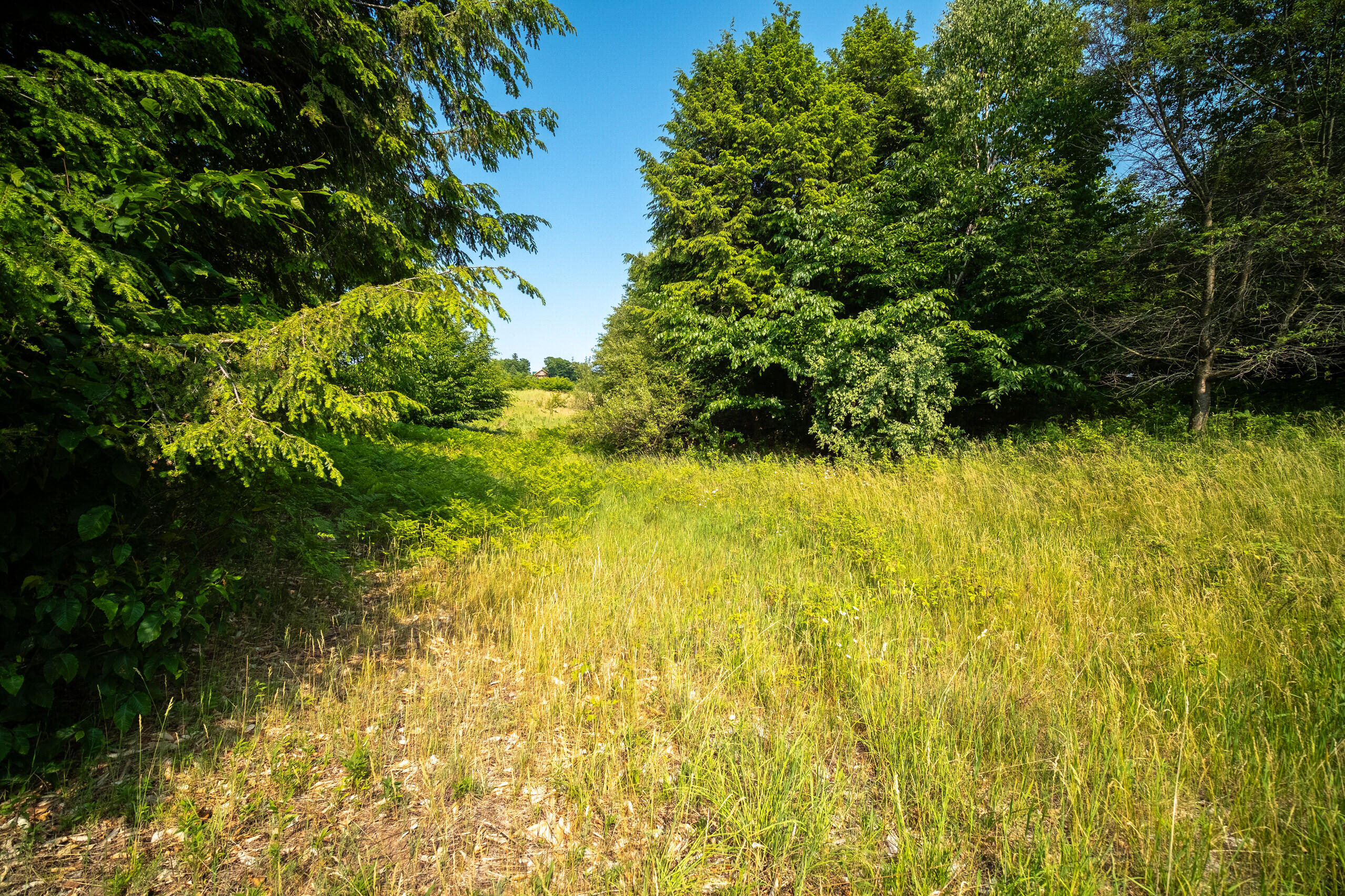 Horizon Ridge Lane, Unit 138 Onekama, MI 49675 - Photo 13 of 41 Additional Photo Lot 138