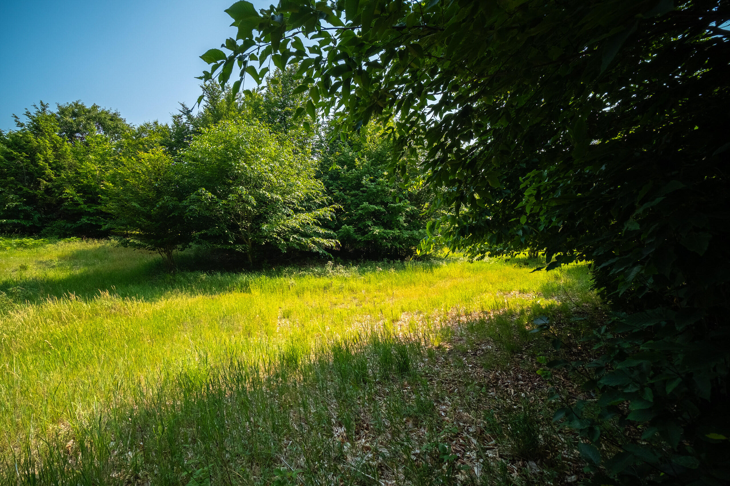 Horizon Ridge Lane, Unit 138 Onekama, MI 49675 - Photo 14 of 41 Additional Photo Lot 138