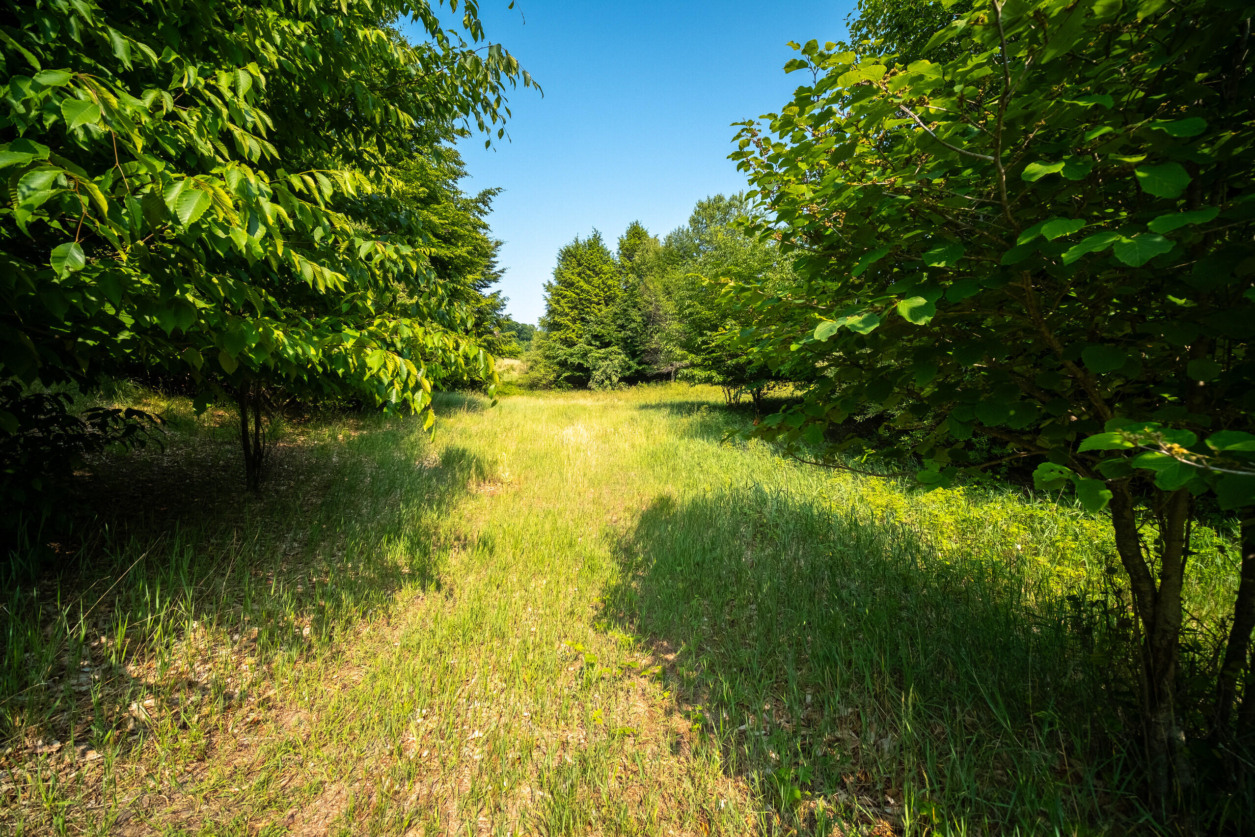 Horizon Ridge Lane, Unit 138 Onekama, MI 49675 - Photo 16 of 41 Additional Photo Lot 138